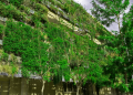 architecture durable
