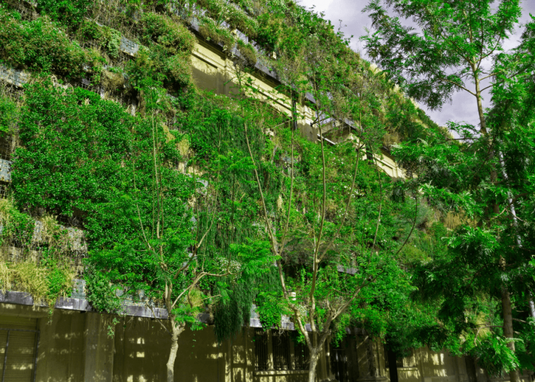 architecture durable