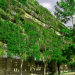 architecture durable