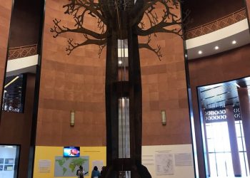 Afrique, la terre du futur