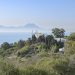 La villa Baizeau à CARTHAGE Objet d’une protection juridique nationale