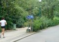 La végétalisation des villes augmente-t-elle les risques de maladie ?