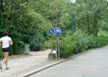 La végétalisation des villes augmente-t-elle les risques de maladie ?