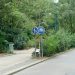 La végétalisation des villes augmente-t-elle les risques de maladie ?