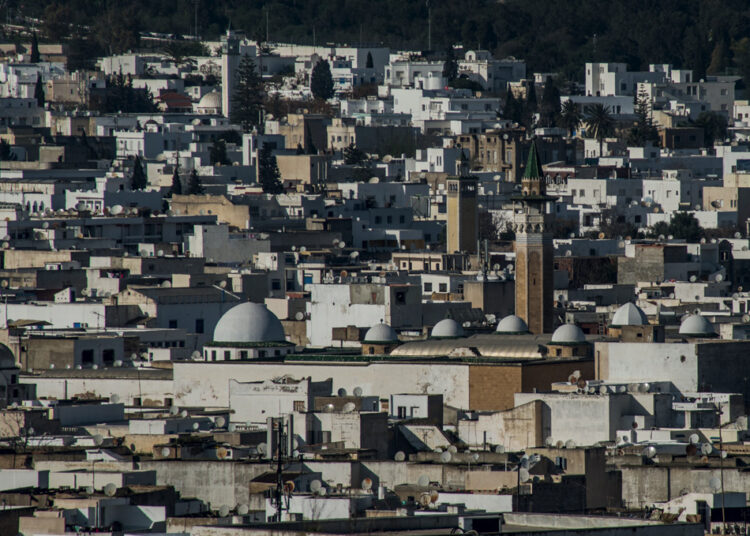 MEDINATOUNAUn outil pour accompagner Un processus d’appui à des Stratégies de Développement de neuf Villes tunisiennes (SDV)