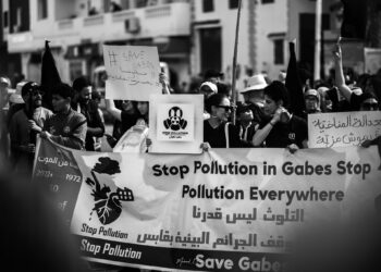 Gabès : du paradis oasien à la ville blessée — vers une réconciliation nécessaire pour ses habitants et son environnement